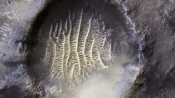 Nasa Shares Marvellous Pic Of Mars Planet; Internet Calls It ‘alien Footprint’