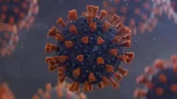 NIV scientists to genome sequence XE coronavirus variant found in Mumbai