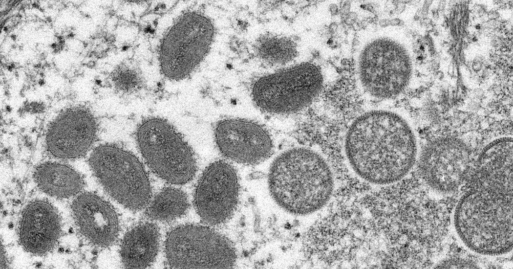 Officials Report a Possible Monkeypox Case in New York