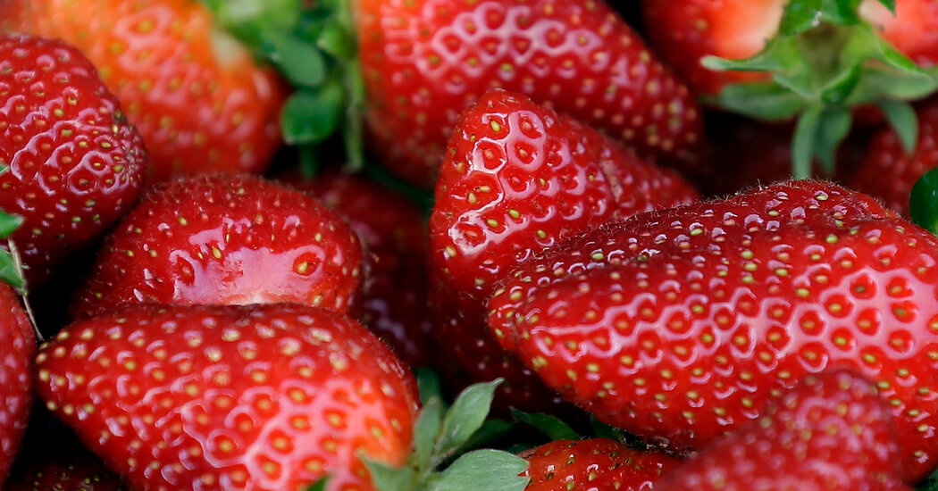 Hepatitis A Outbreak in U.S. and Canada Linked to Strawberries