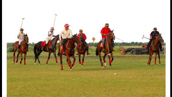 Indian Arena Polo League to debut in April 2023
